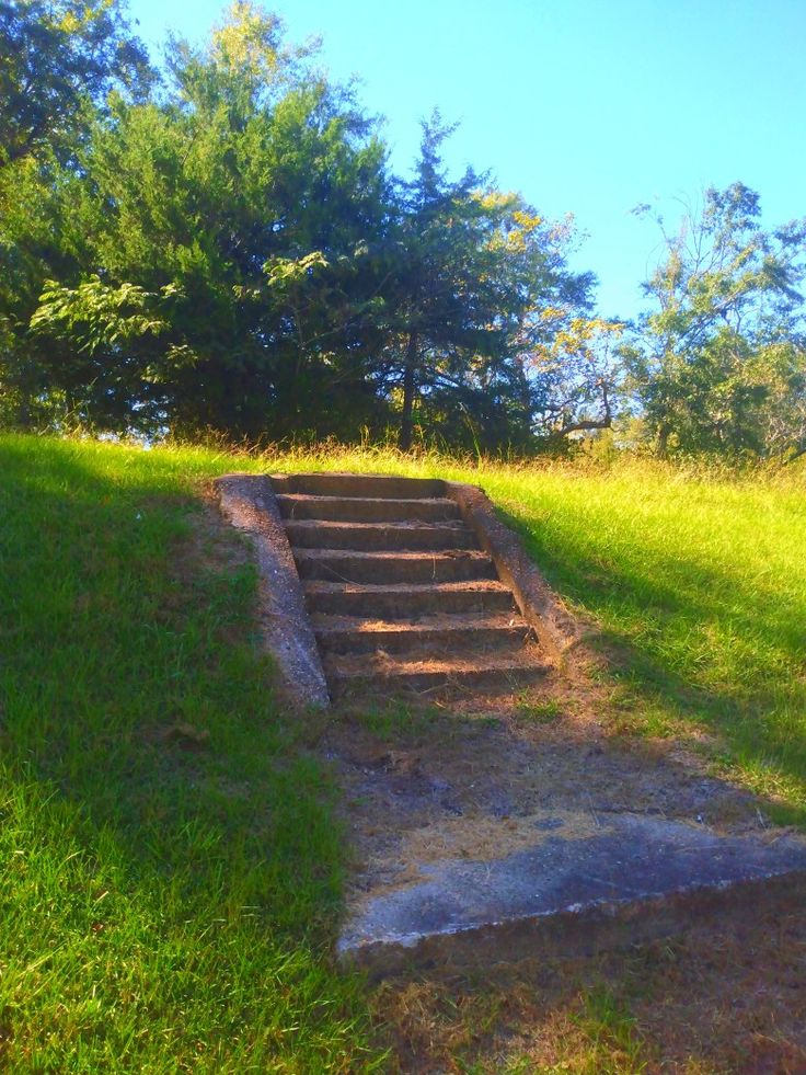 some steps going up to the top of a grassy hill with trees in the background