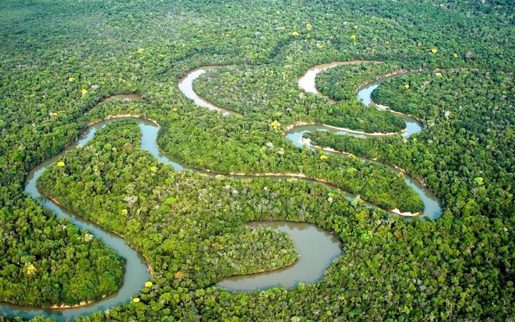 an aerial view of a river in the middle of a green area with many trees