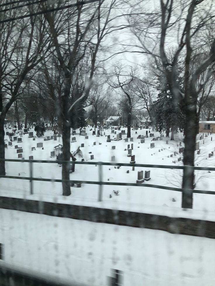 a snowy cemetery with many headstones and trees in the foreground is seen through a window