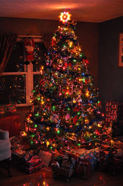 a brightly lit christmas tree in a living room