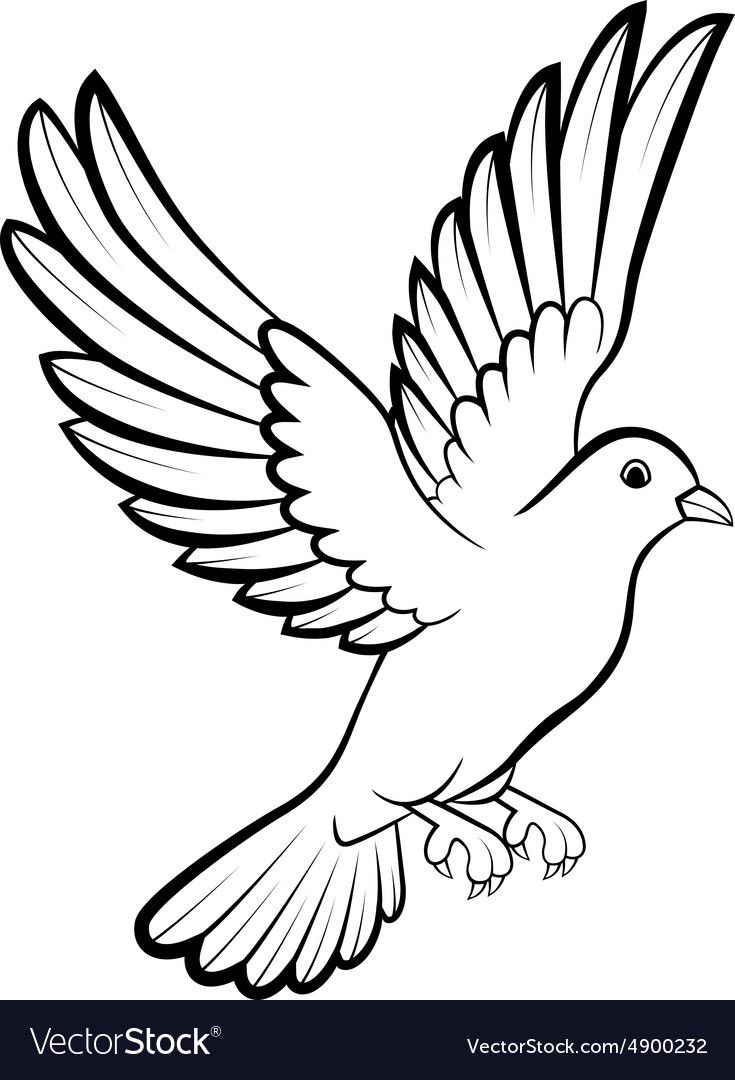 a bird flying with an olive branch in its beak, black and white outline on a white background