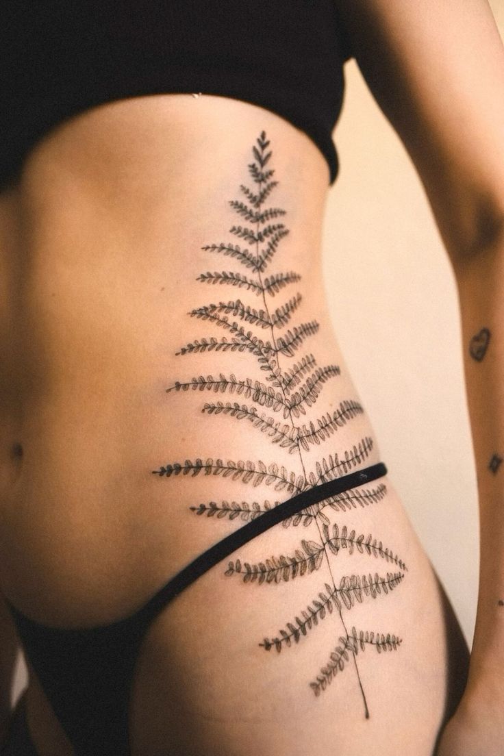 a woman's stomach with a fern tattoo on her lower body and the bottom part of her abdomen