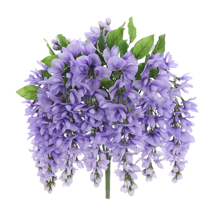 purple flowers with green leaves on white background