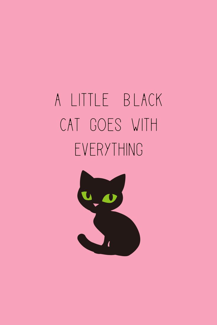 a black cat with green eyes sitting on top of a pink background that says, a little black cat goes with everything