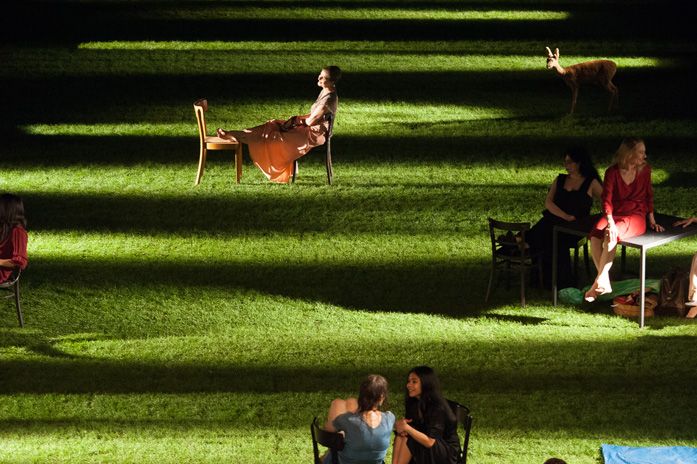 people sitting on lawn chairs in the dark with their backs turned to one another and two dogs standing behind them