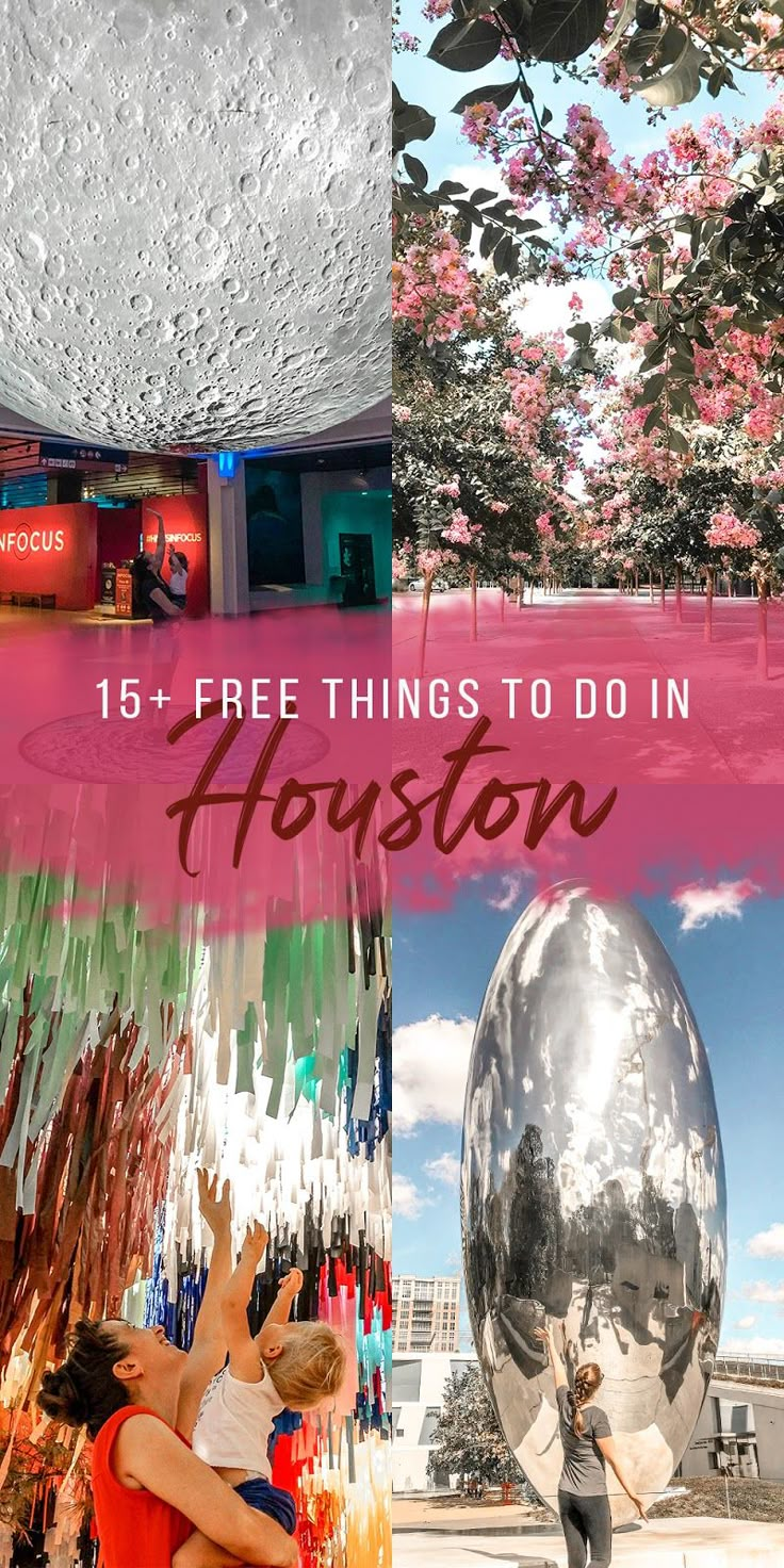 the top things to do in houston with text overlay that reads 15 free things to do in houston