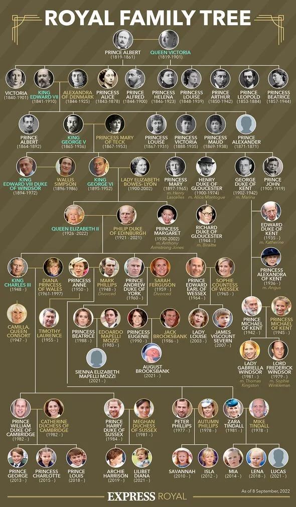 the royal family tree is shown in this poster