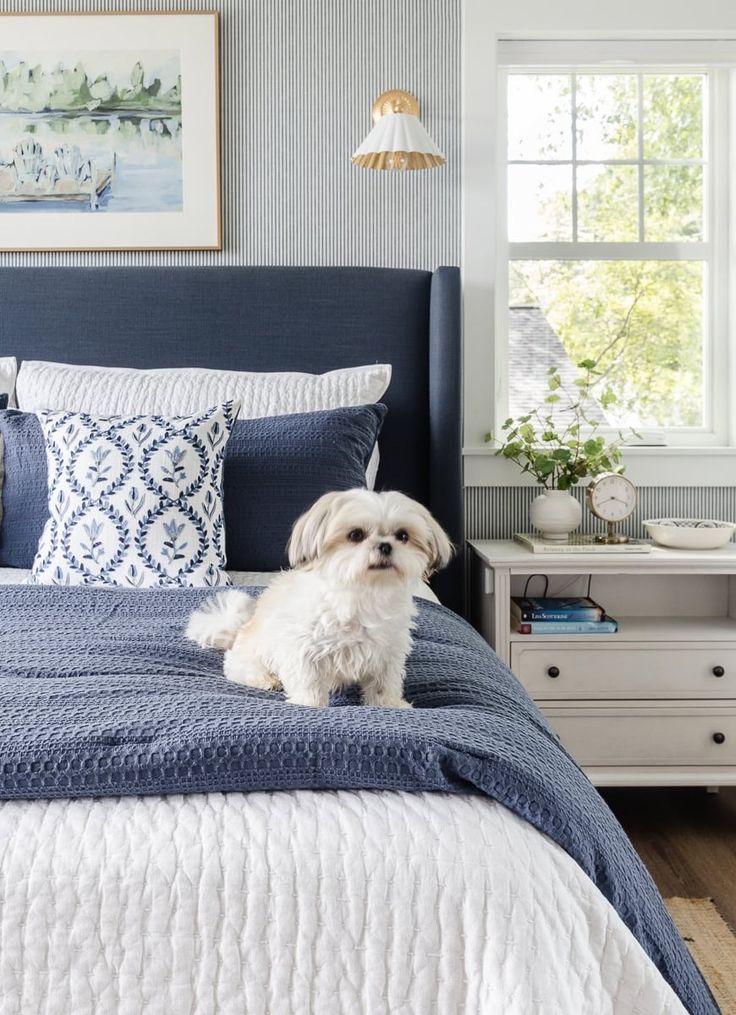 a white dog sitting on top of a bed in a room with blue and white decor