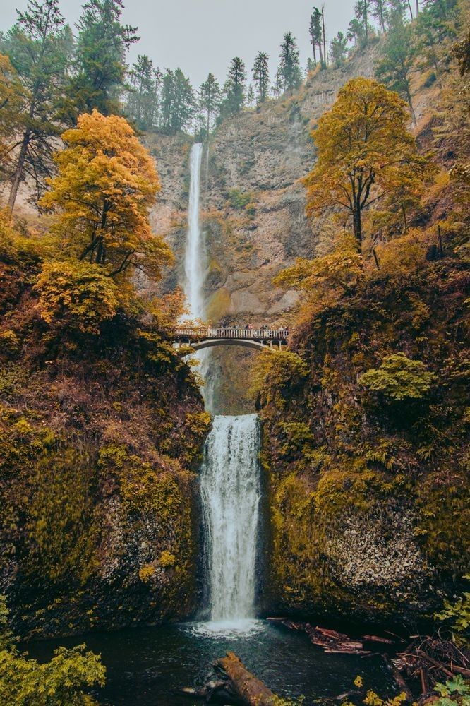 a waterfall in the woods with a bridge over it