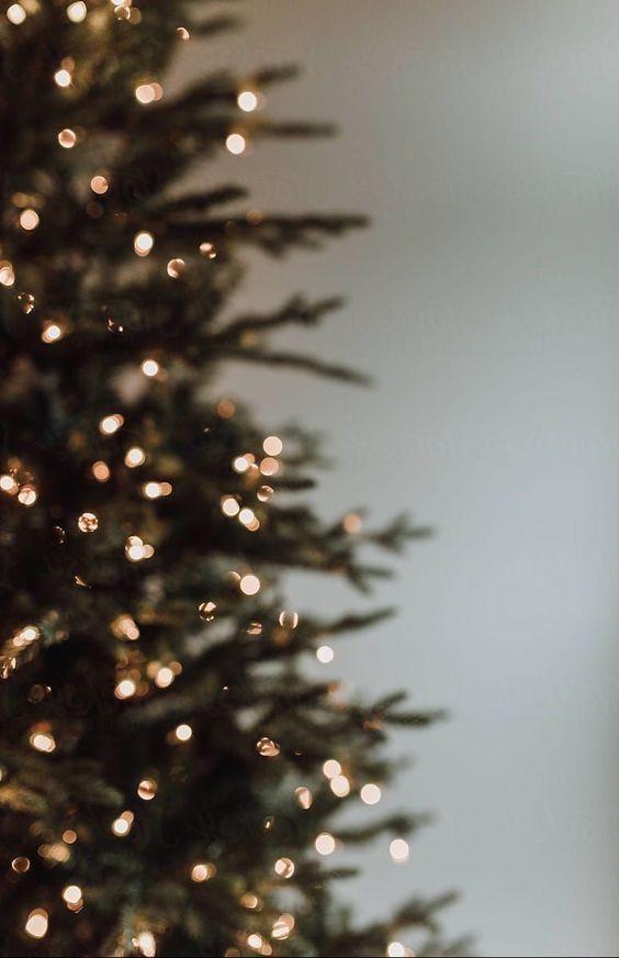 a close up of a christmas tree with lights on it