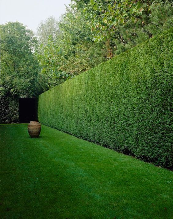 a large green hedge next to a tall wooden vase