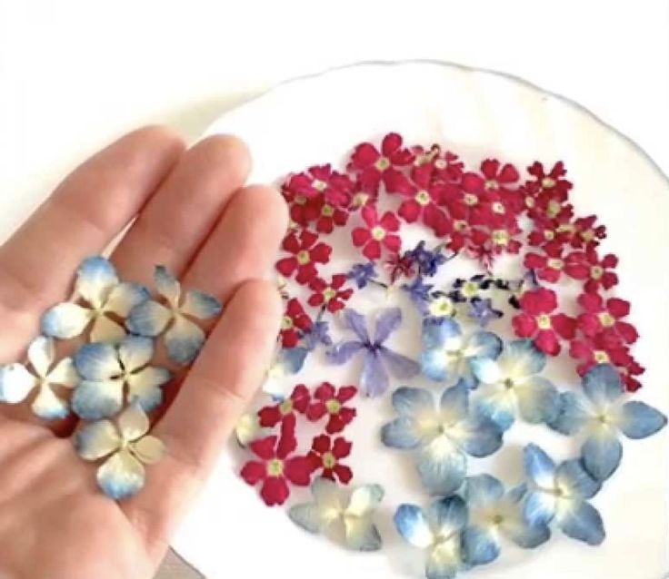 a plate with flowers on it and a hand holding the flower in front of it