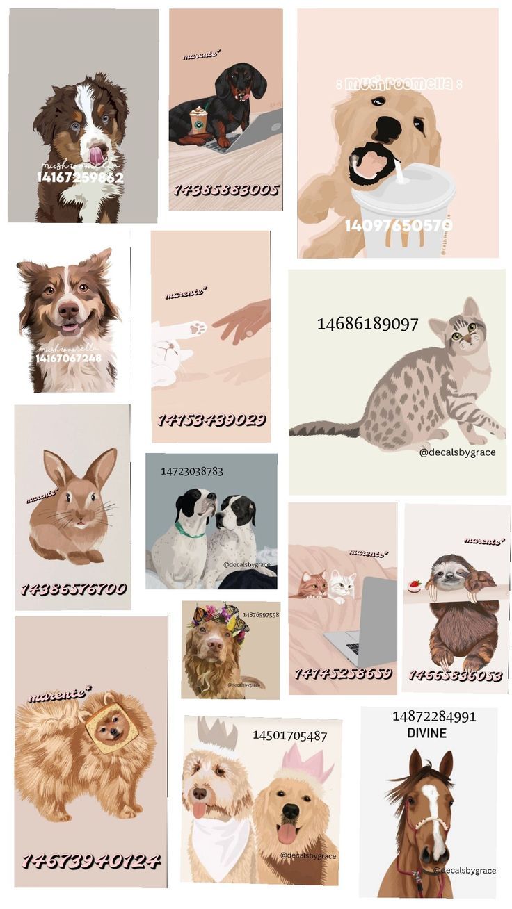 a collage of dogs and cats in different colors, sizes, and font styles