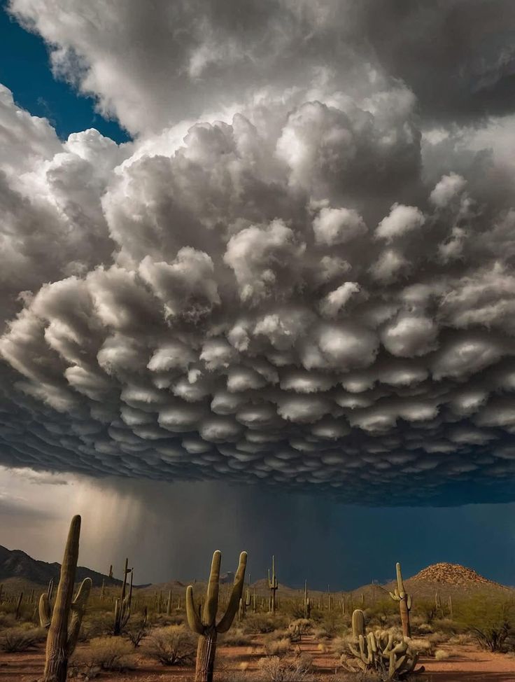 a large cloud is in the sky above some cacti