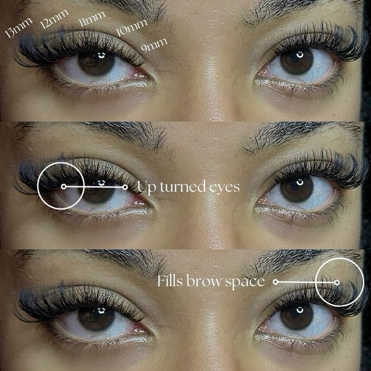 Lash Mapping For Big Eyes, Round Eye Lash Extensions Map, Babydoll Lash Map, Round Eye Lash Map, Doe Eye Lash Map, Almond Eye Lash Map, Lash Map Doll Eye, Lashes For Almond Eyes, Cat Eye Lash Map