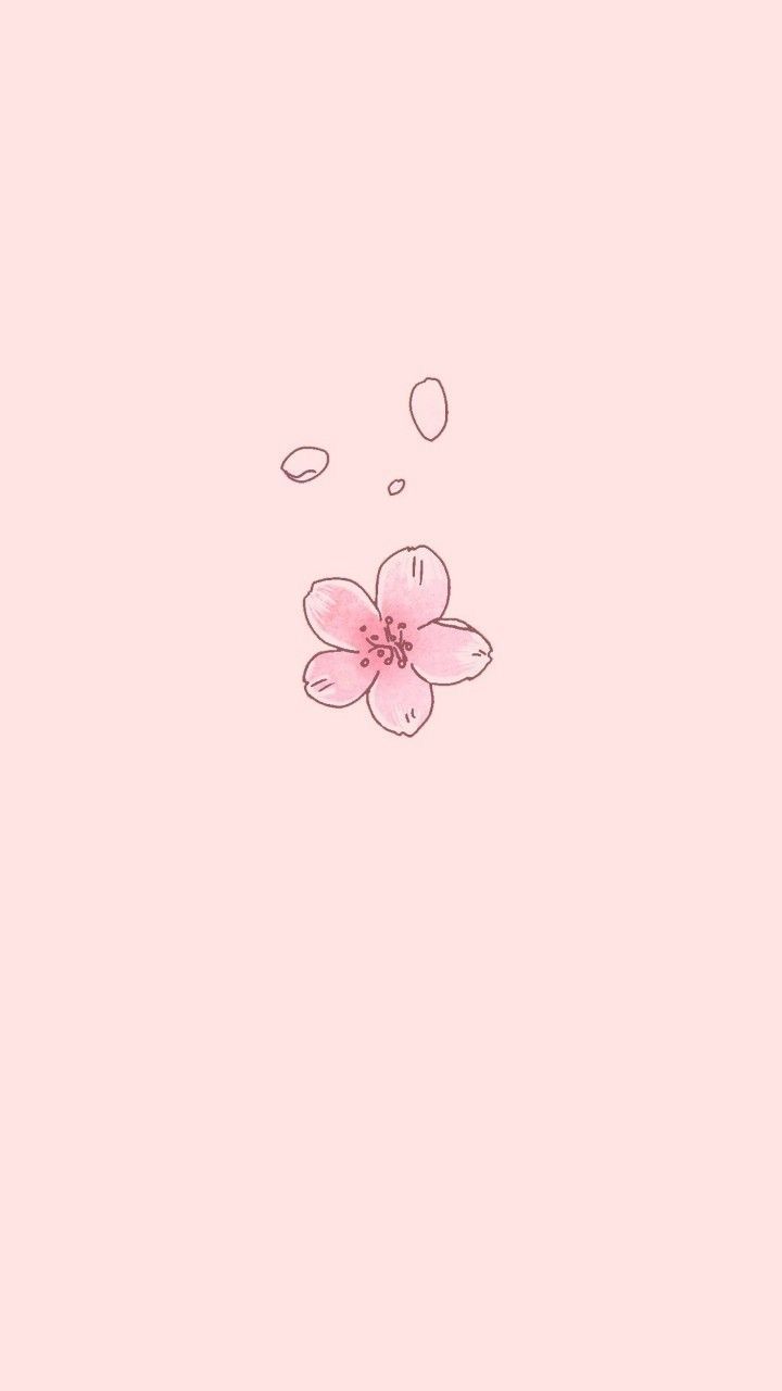 a pink background with a flower on the left side and two petals on the right