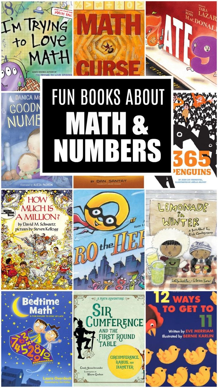 books about math and numbers with the title fun books about math and numbers