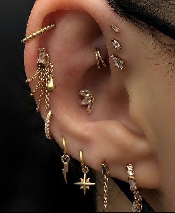 the ear is adorned with different types of piercings