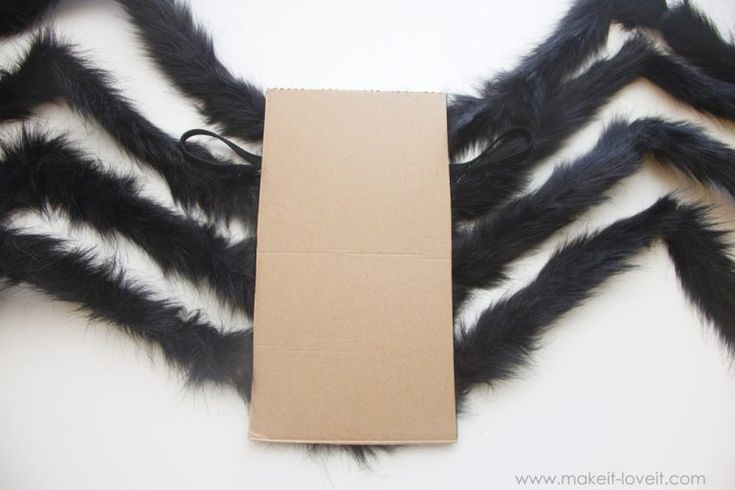 a cardboard box sitting on top of a fake black spider's legs with it's eyes closed