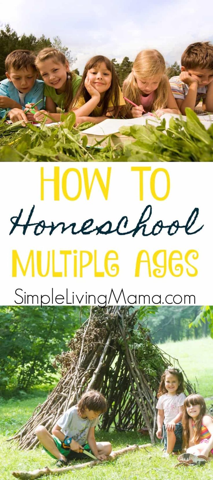 how to homeschool multiple ages with pictures of children in the grass and text overlay that reads, how to homeschool multiple ages