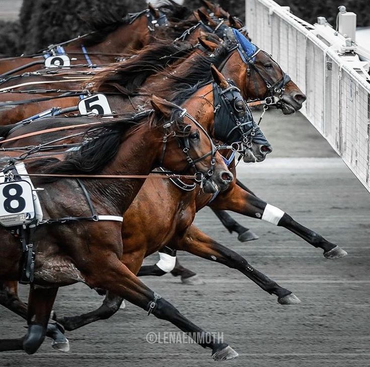 the horses are racing each other on the track