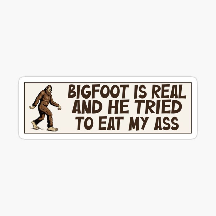 Funny Bumper Stickers Hilarious, Unhinged Bumper Stickers, Weird Bumper Stickers, Bumper Sticker Aesthetic, Funny Car Stickers, Funny Car Bumper Stickers, Car Deco, Funny Bumper Stickers, Eat My