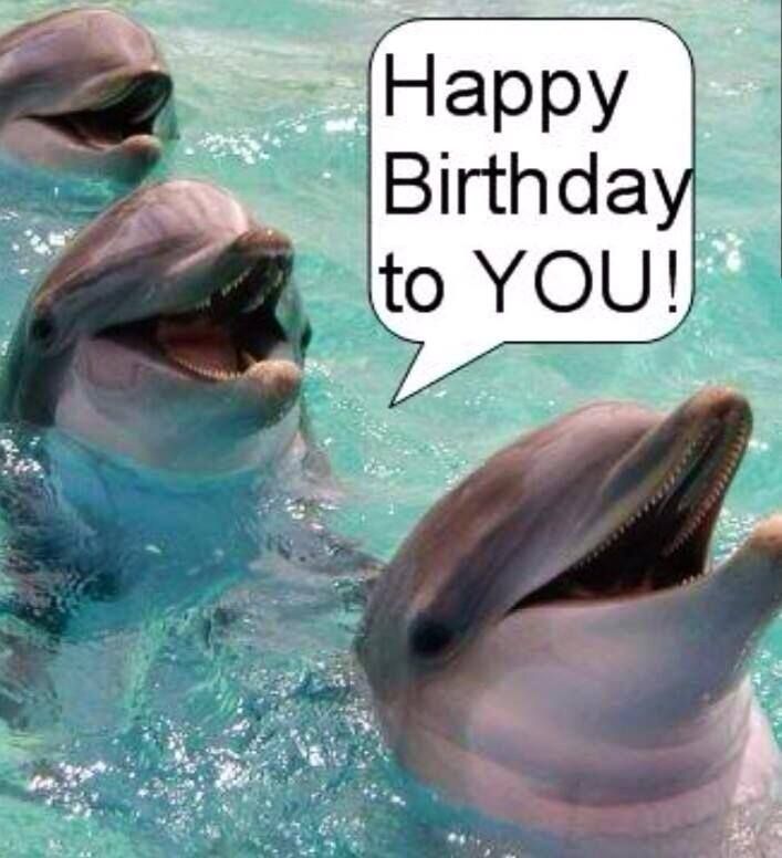 two dolphins in the water with a speech bubble saying happy birthday to you