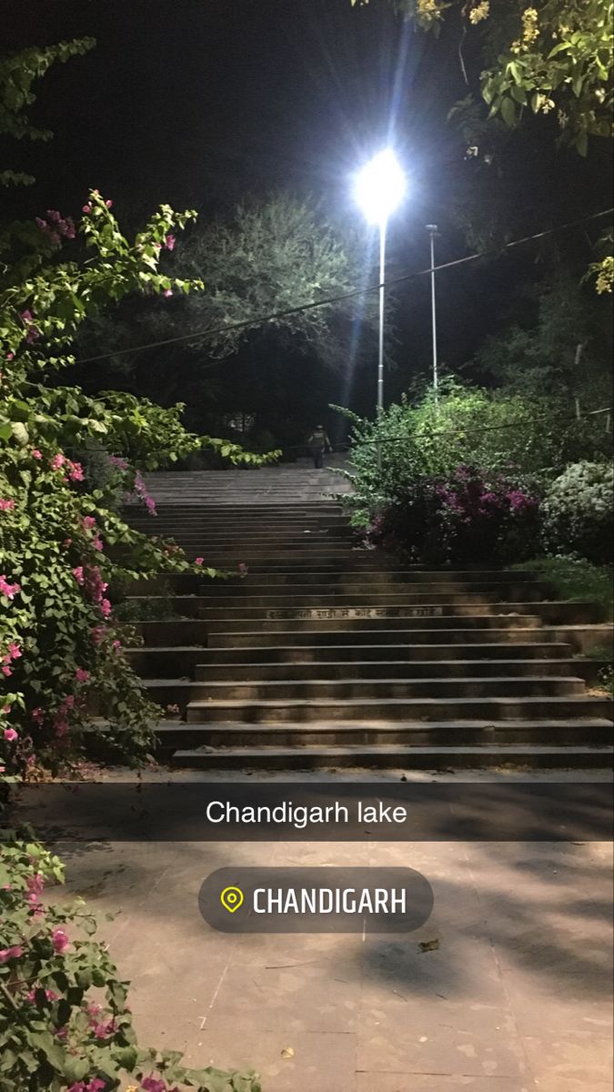 stairs leading up to a street light in the night with pink flowers on either side