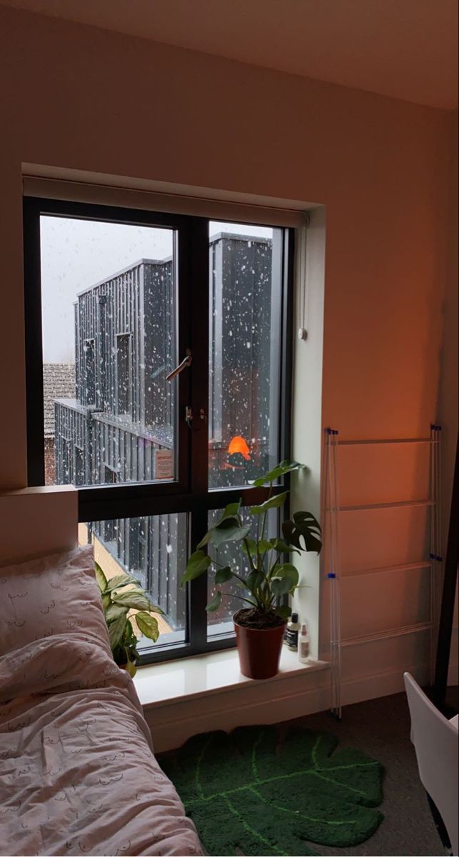 a bedroom with a bed, window and plants in the corner on a rainy day