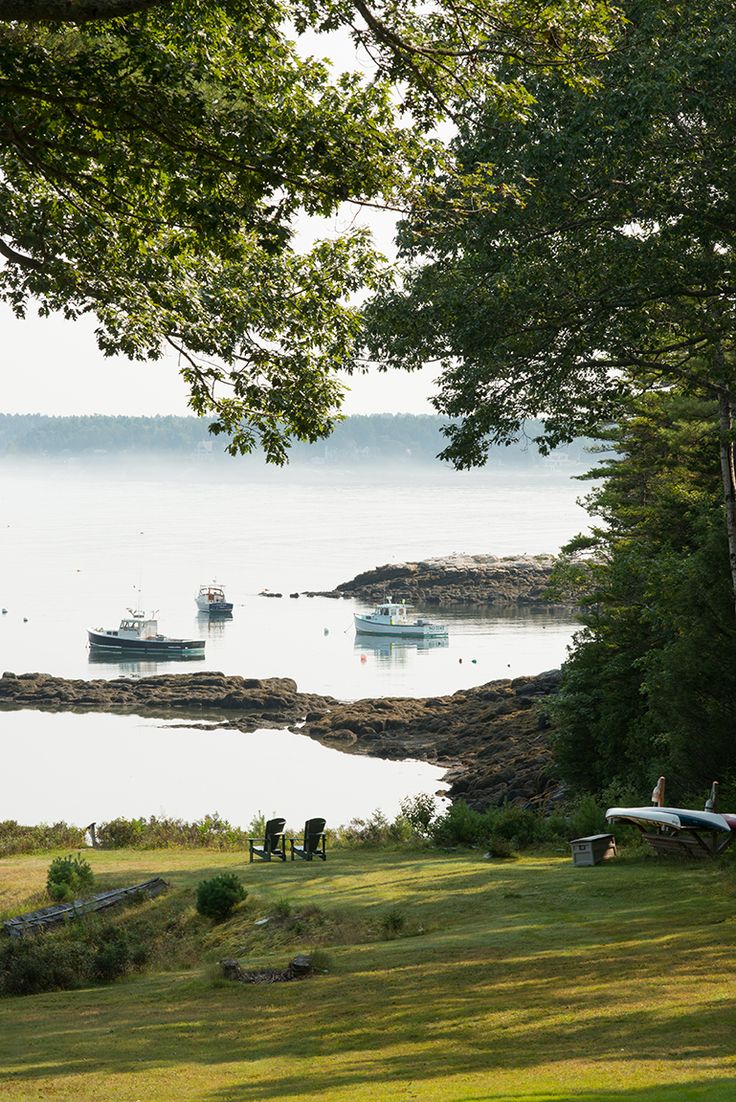 several boats are in the water near some trees and grass with people sitting on benches