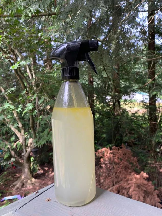 a bottle of cleaner sitting on top of a wooden table next to trees and bushes