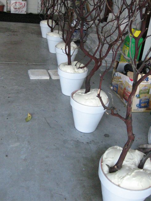 several white buckets are lined up with bare trees in the middle and one is empty