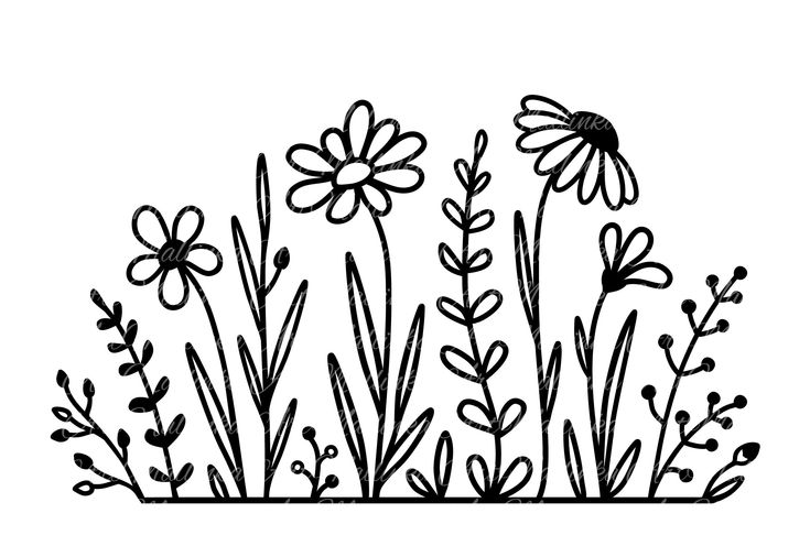 Cross Stitch Patterns Flower Pattern Clipart, Wild Flowers Drawing, Cross Stitch Patterns Easy, Daisy Flower Svg, Wild Chamomile, Flower Embroidery Pattern, Wildflower Svg, Flower Pattern Drawing, Pattern Svg