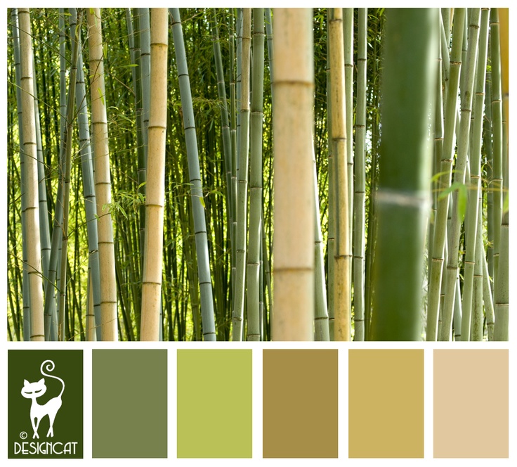 the color scheme is green, brown and white with bamboo trees in the back ground