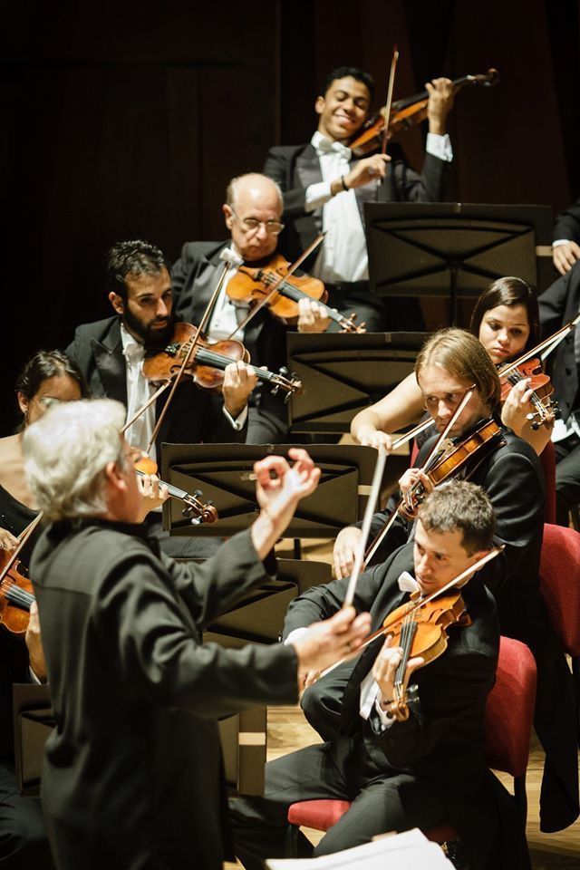 an orchestra conductor is directing the orchestra