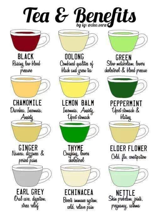 Tea And Benefits, Types Of Teas, Tea Remedies, Healing Tea, Tea Health Benefits, Healthy Teas, Tea Benefits, Health Knowledge, Natural Health Remedies