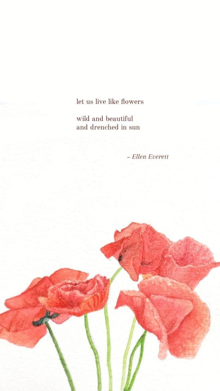 Flower quotes by Ellen Everett Holly Whitaker Quotes, Poppy Flower Quotes, Red Flower Quotes, Ellen Everett Poems, Wild Flowers Quotes, Ellen Aesthetic, Wildflower Poem, Quotes On Flowers, Poppy Quotes