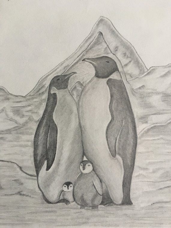 a pencil drawing of two penguins with their babies