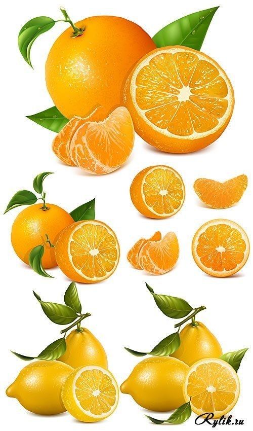 an image of oranges with leaves and slices