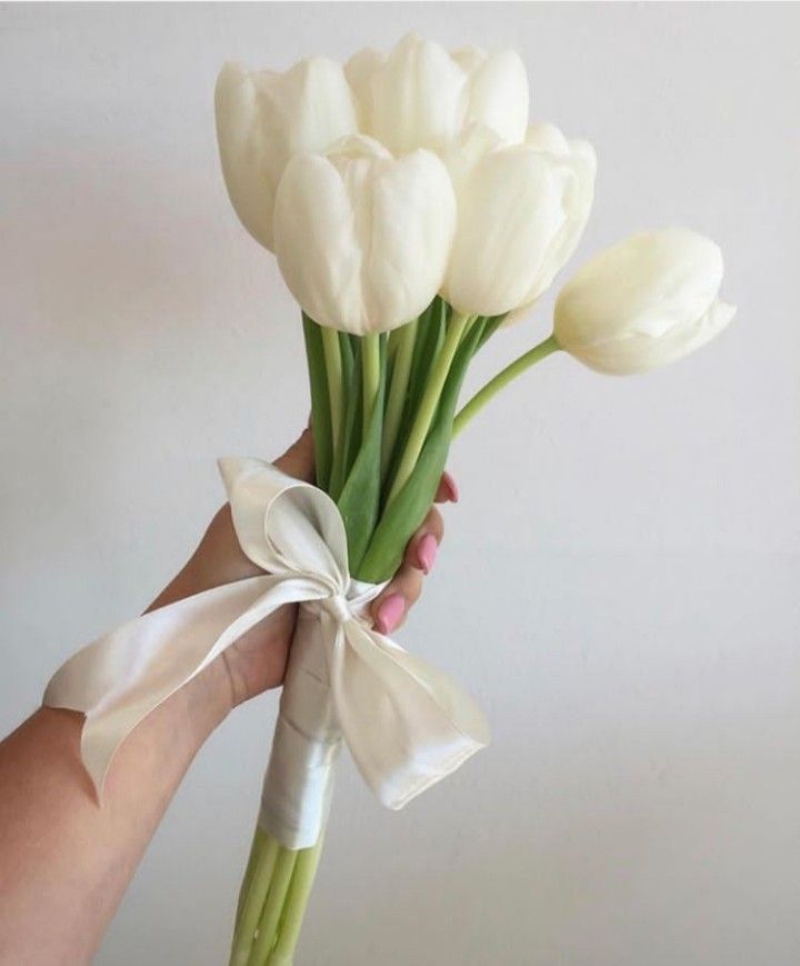 a hand holding a bouquet of white tulips with a ribbon tied around it