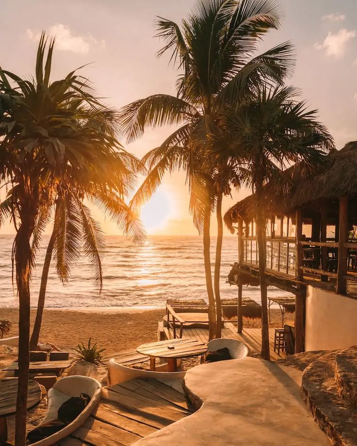 palm trees line the beach as the sun sets