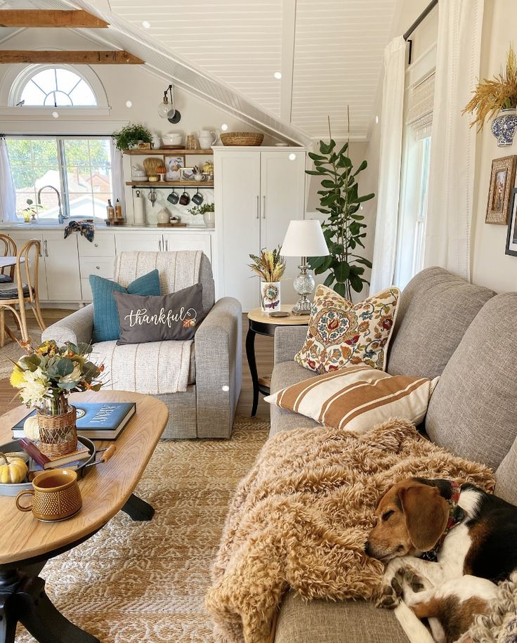 a dog laying on top of a couch in a living room next to a table