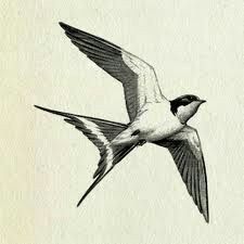 a drawing of a bird flying with the words, why won't you let me go?