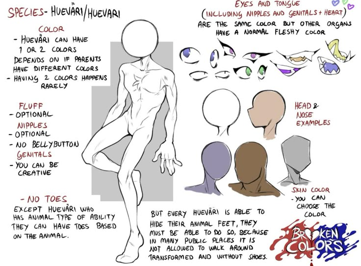 an animation character sheet with different poses and expressions for the human head, shoulders, and arms