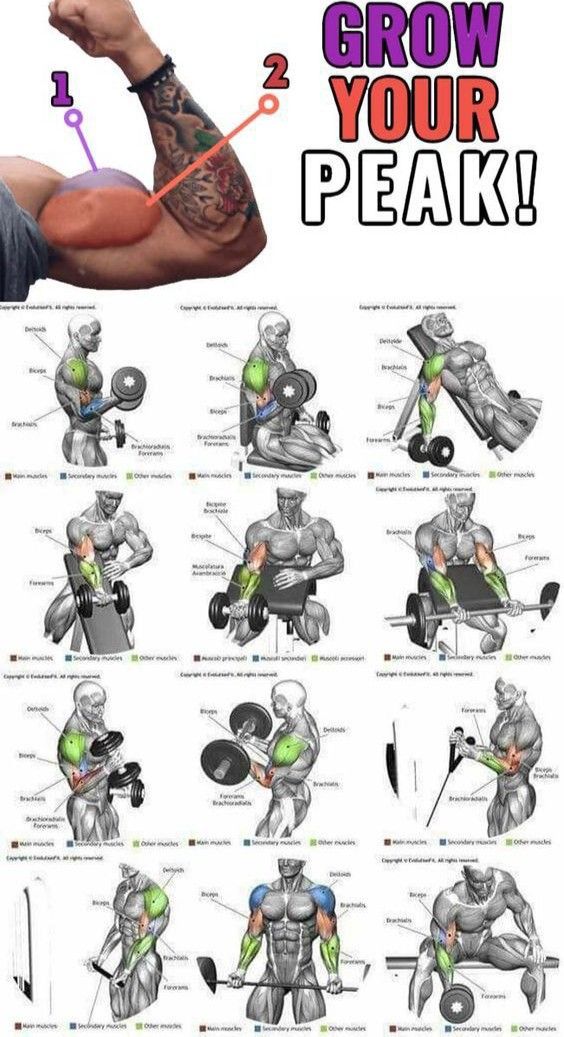 the arm and shoulder muscles are shown in this diagram, with instructions for how to use them