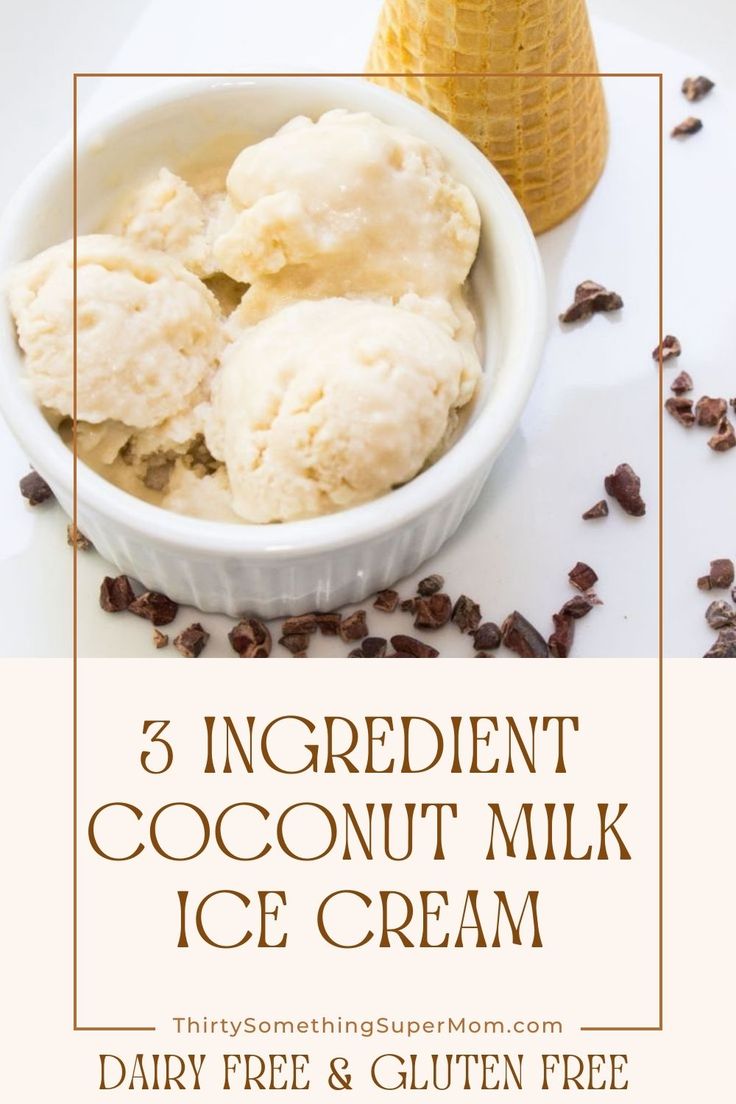 three ingredient coconut milk ice cream in a bowl