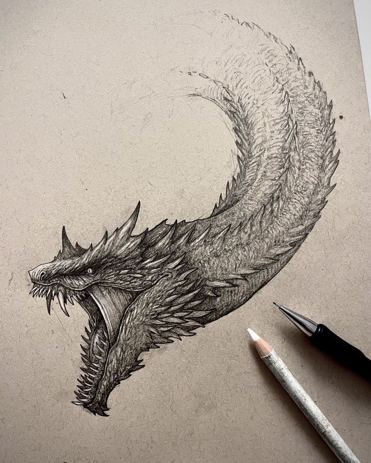 a drawing of a dragon with its mouth open