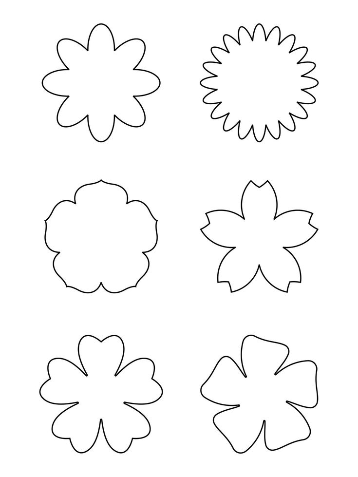 four different flower shapes are shown in black and white, with one being drawn on the side