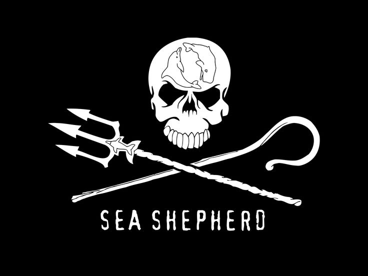 a skull and two arrows with the words sea shepherd written below it on a black background