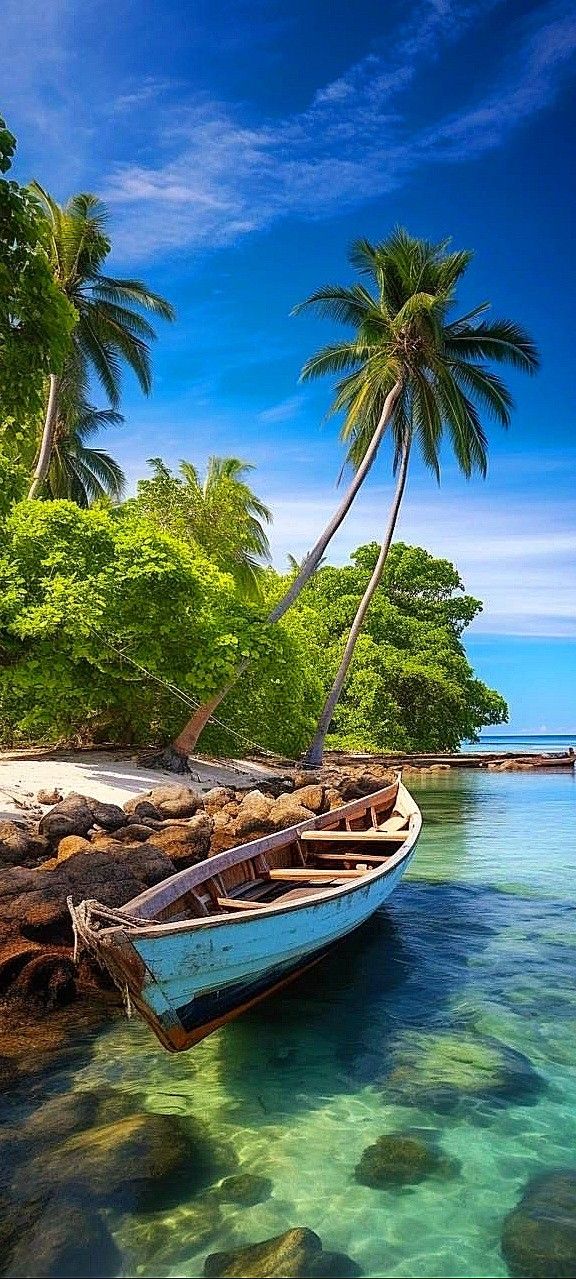 there is a boat that is sitting in the water near some rocks and palm trees